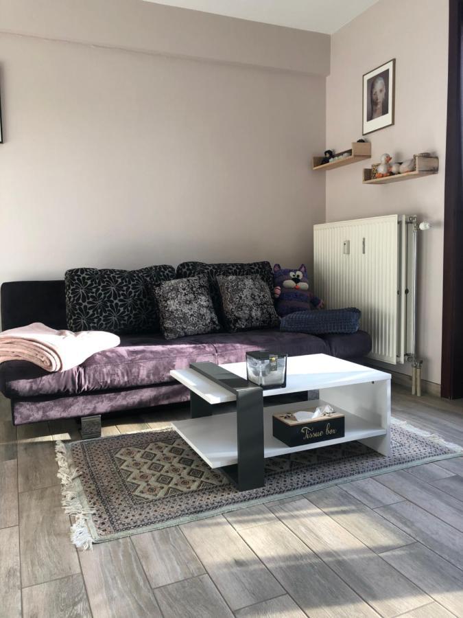 Apartment Shiny Nice Studio At Ostend